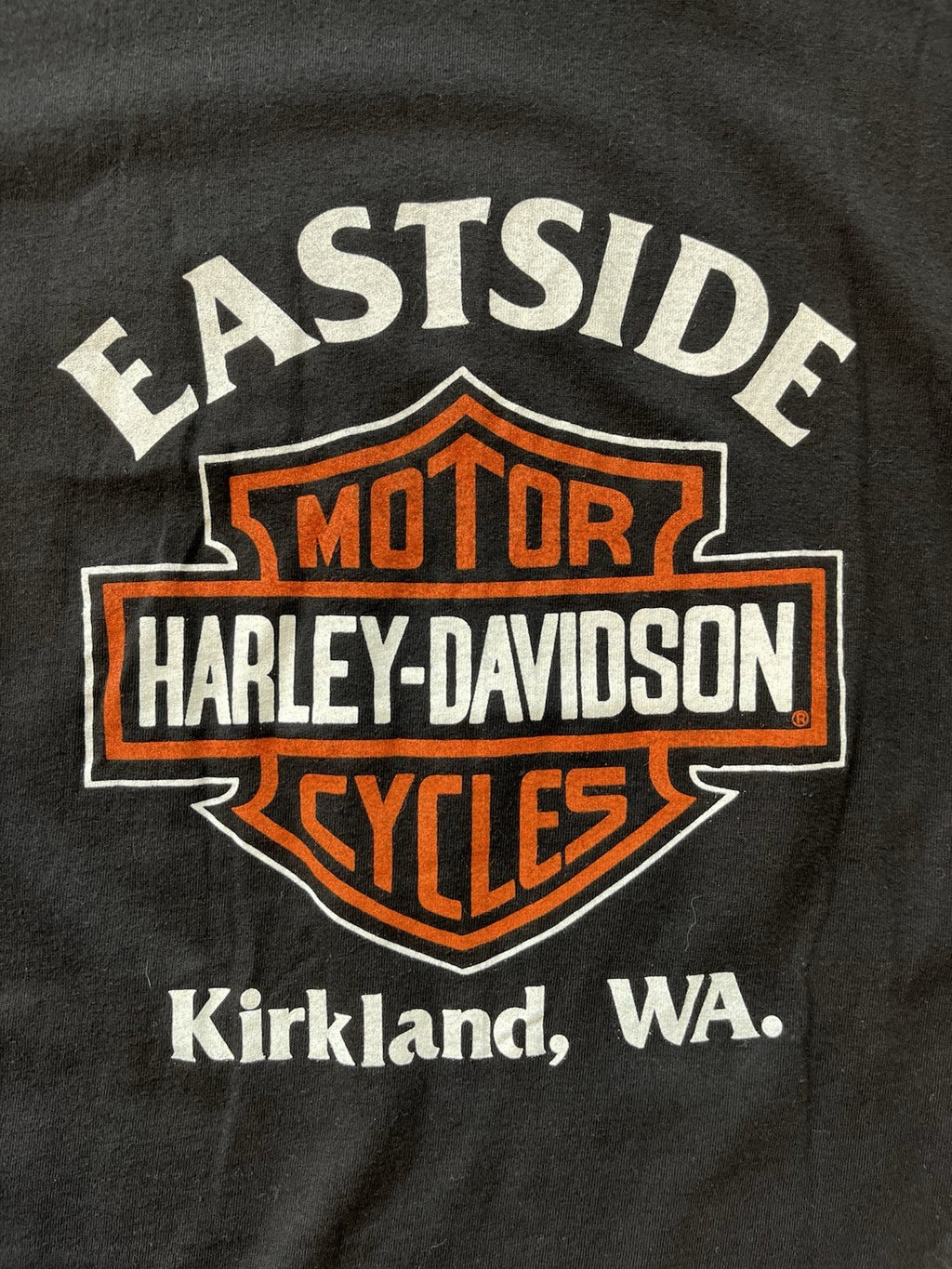 Vintage 1990s Harley Davidson “Best way to see the north west” Tee Shirt Sz 2XL